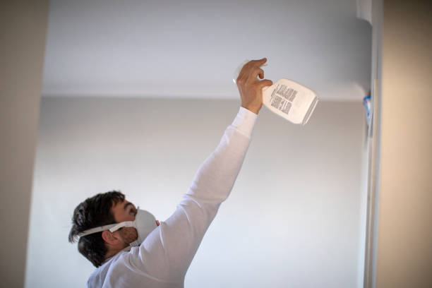 Best Certified Mold Removal  in Lower Burrell, PA