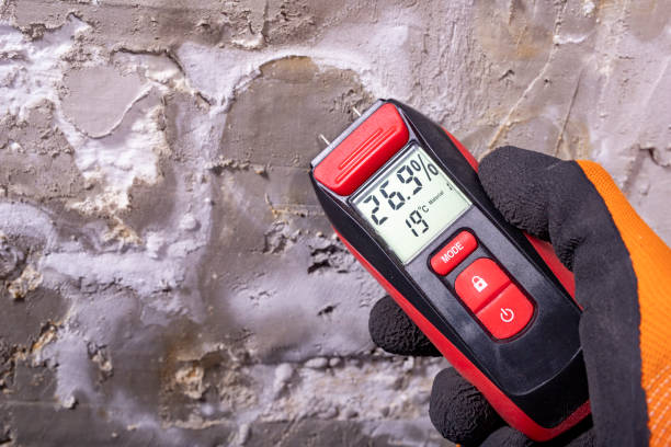 Best Emergency Mold Removal  in Lower Burrell, PA