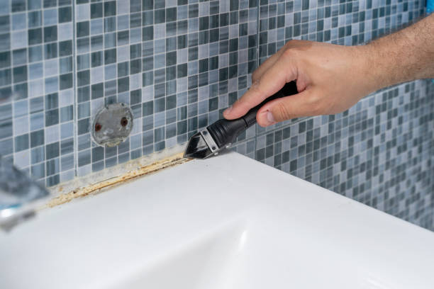 Best Office Mold Removal Services  in Lower Burrell, PA
